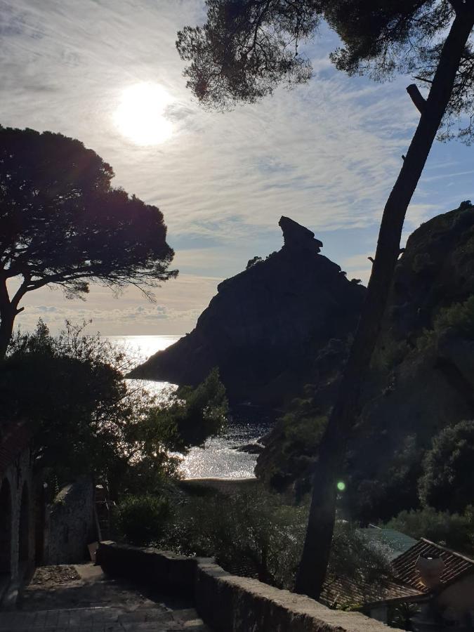 Apartmán Studio Corniche La Ciotat Exteriér fotografie